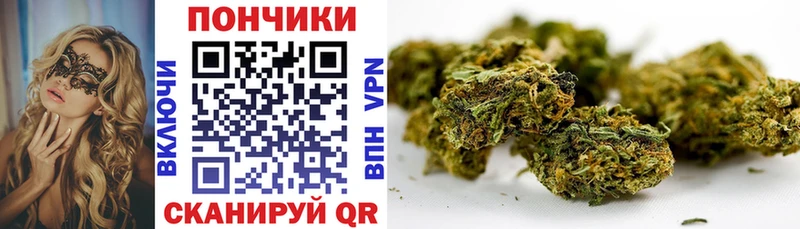Купить закладки  Южа  Марихуана марихуана 